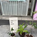 경희혜민한의원 이미지