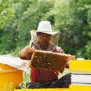 시몬농장 이미지