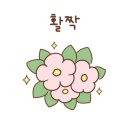 카페아리우리누리