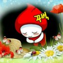 다님 이미지