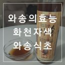 자연농장 | 와송의 효능 화천자색와송 식초