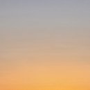 스테이 도채비꽃 이미지