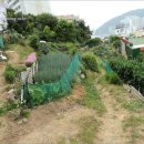 서구-52 이미지