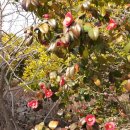 등촌민박 이미지