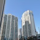 서강공인중개사사무소 이미지