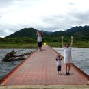 고달리다리 이미지