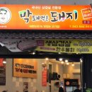 막돼먹은돼지 - 북구 동대19길 1 | 막돼먹은돼지