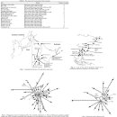 Mitochondrial DNA Analysis of Hokkaido Jomon Skeletons: Remnants of Archaic Maternal Lineages at the Southwestern Edge of Former Beringia 2011 이미지