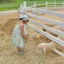 풍성목장 이미지