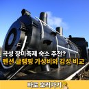 좋은세상리조트글램핑펜션 | 곡성 장미축제 숙소 추천? 펜션 글램핑 가성비와 감성 비교 2곳