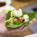 영일만검은돌장어 이미지