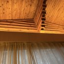 아라호프 | 제주여행 28주 임당산모 태교여행 / 빵사계 쑥치아바타 / 서광춘희 우니라멘 / 잔물결 / 수풀 / 카페...