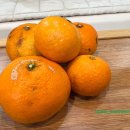 인태목장 이미지