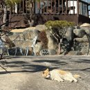 TEAM-K 대구 태권도장 | 척척학사가 되고 싶어