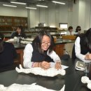 경주여자중학교 이미지