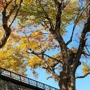 신원양지마을 이미지