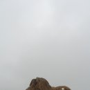 설악산수