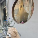 연어의진심연심 이미지