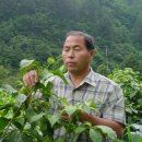 남성농장 이미지