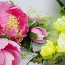 시들지 않는 LED플라워 공예 이미지