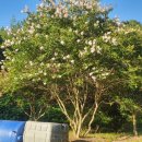 대랑목장 이미지