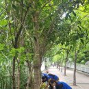 화명3동-2 이미지