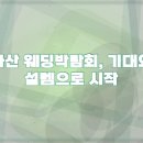나의 행복을 위한 가족세우기 | 아산 웨딩박람회 다녀왔어요 예신을 위한 총정리 후기