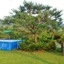 무릉도원면-10 이미지