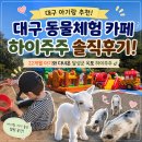 [대구 아기랑] 달성군 옥포 하이주주 솔직후기! 22개월 아기와 다녀온 대구 동물체험 카페