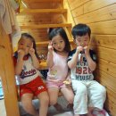 그림앤정원 이미지