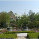 신촌 여행 이미지