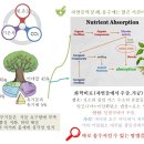 제126기 전통발효농법 실습교육 ...12월 17일(토) 완료 이미지