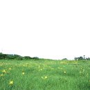 원두막집 이미지