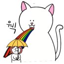 작은손톱