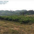 용정2리마을회관 이미지