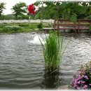 언덕농장2 이미지