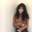 현애견미용실 이미지