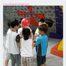 검은독수리 최강합기도 이미지