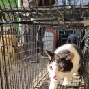 무수농장 이미지