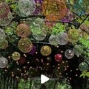 원주굽이길 17코스 동화마을진달래길 이미지