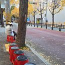 이웃사랑의 집 | 부산 서면 웨이팅고기집 추천 돼지나무 사랑걸렸네 솔직 후기