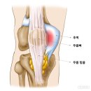 세중한의원 국제도시점 이미지