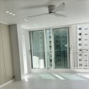 신세대지큐빌 이미지