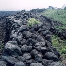 행원환해장성 이미지