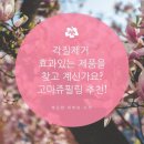 제이부띠 네이버블로그