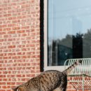 스테이 무어 이미지