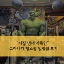 THE GYM | [스페인/그라나다] 그라나다 헬스장 일일권 후기 (The Santa Monica Gym Mecca)