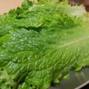 홍스 족발보쌈