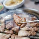 두툼한고기돈돼지 이미지