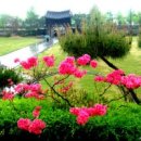 행복 빛으로부터 이미지